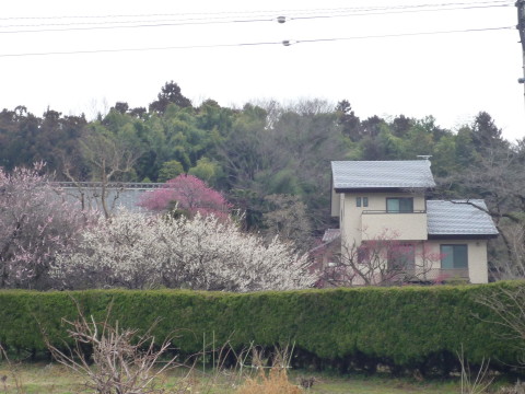 嵐山町／M様邸